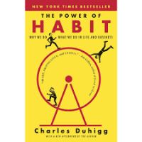 The power of habit