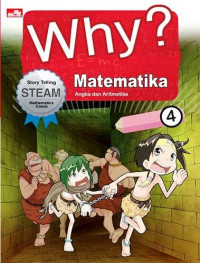 Why? Matematika 4